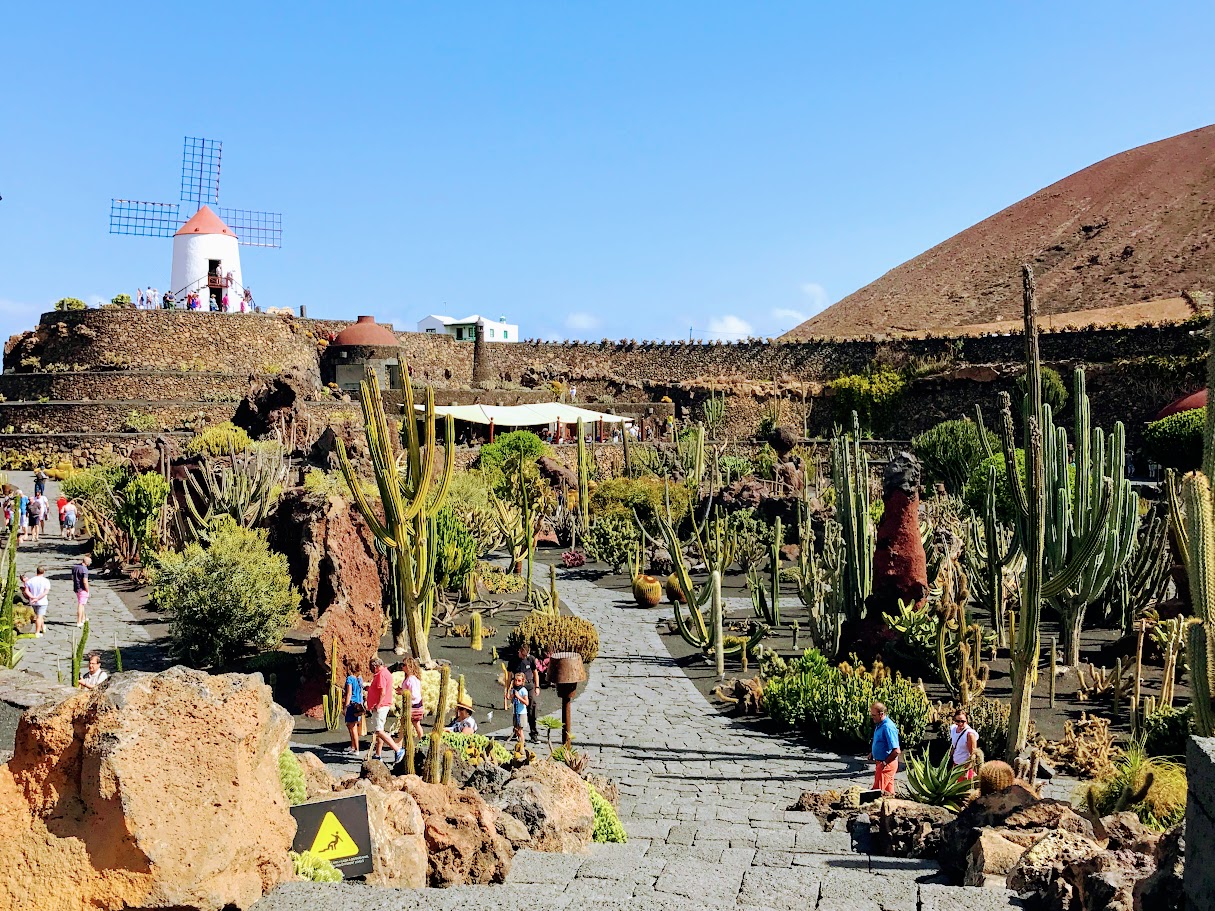 Jardín de Cactus